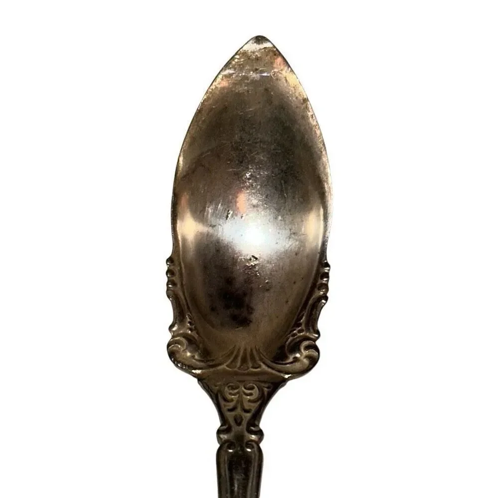 7 Vintage WM Rogers & Son AA Silver Grapefruit Spoon Set 6.5